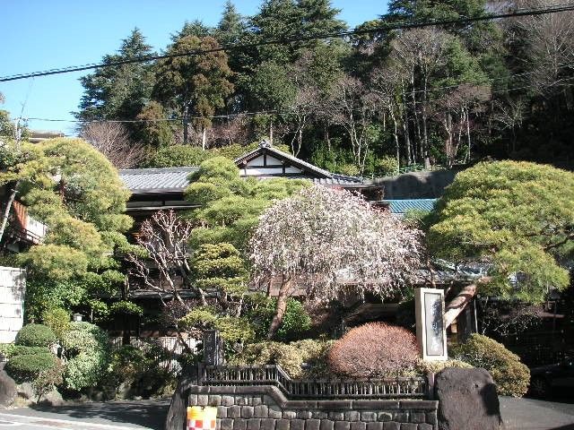 Japanese inn in Yugawara
Photo by Takako Ito